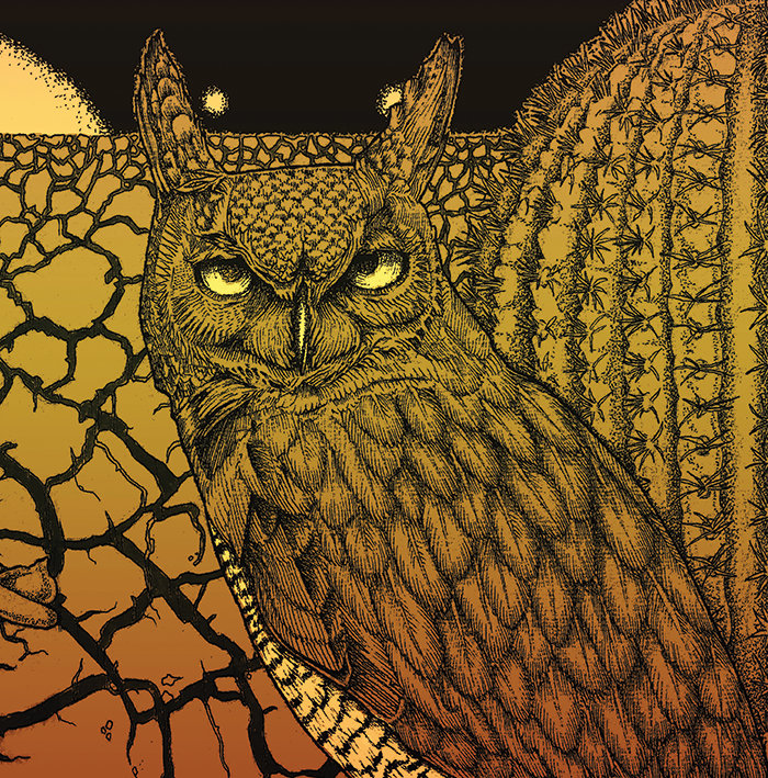 Albert Montoya Owl Illustration